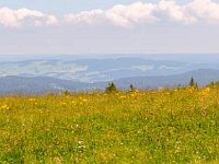 P1000077