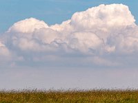 P1055049