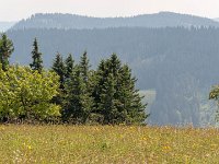 P1055060