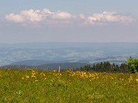 P1055061