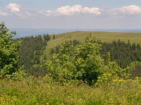 P1055136
